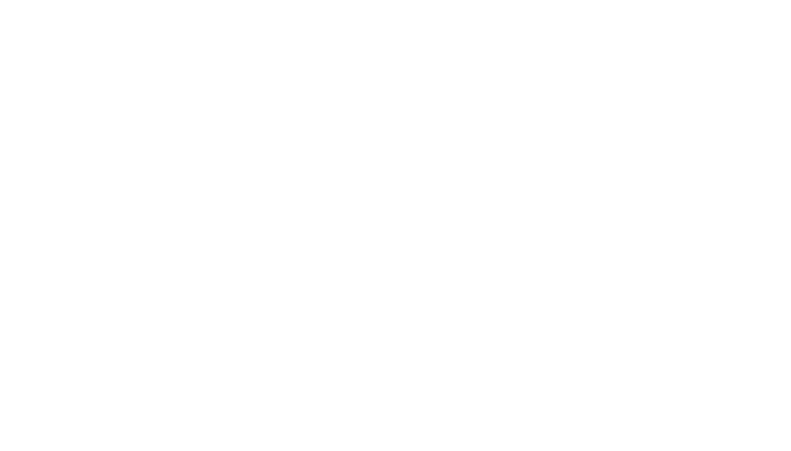 Free Void Flotilla logo